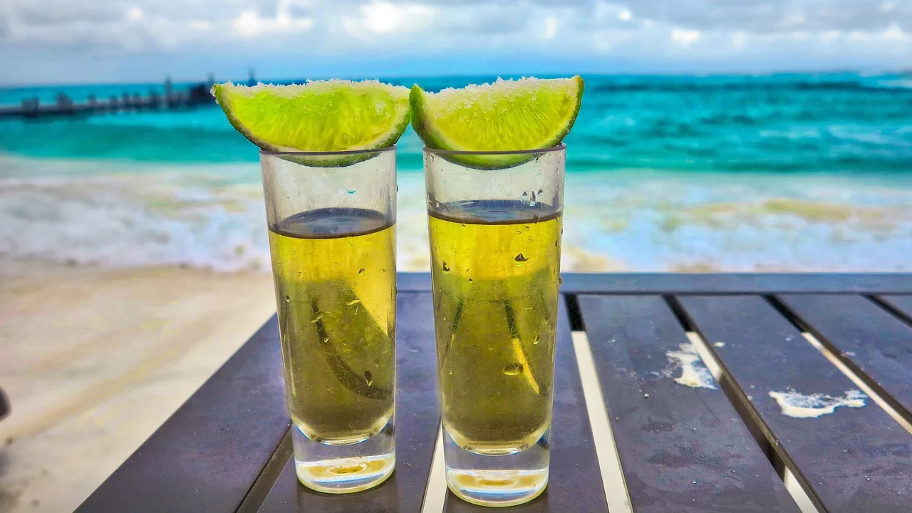 summer, tropical, tequila, drink, alcohol, lemon, nature, exotic, vitamins, mexico, cancun, hyatt ziva. Celebrity Tequila Brand Valuation Rests on US Multiples, Not Names