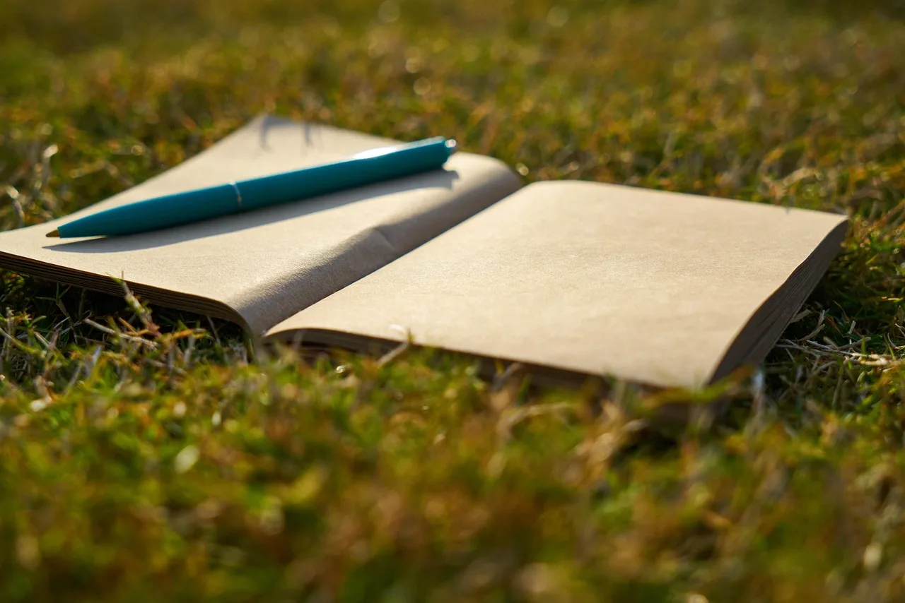 notebook, pen, empty, writing, study, to write, work, office, paper, notepad, technology, document, daily, white, message, student, grass, sunny, book, literature, fairy tale, nature, read, to read, notepad, daily, daily, daily, daily, daily. 4 lessons worth learning about portfolio case studies by industry