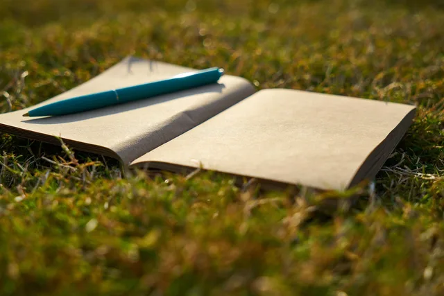 notebook, pen, empty, writing, study, to write, work, office, paper, notepad, technology, document, daily, white, message, student, grass, sunny, book, literature, fairy tale, nature, read, to read, notepad, daily, daily, daily, daily, daily. 4 lessons worth learning about portfolio case studies by industry