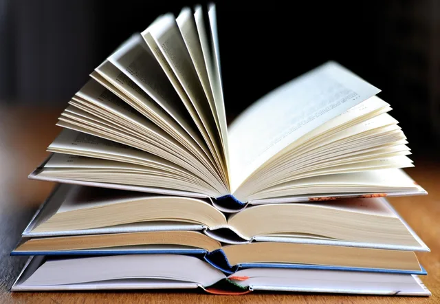 a book, read, book pages, pitched, to learn, literature, knowledge, reading, training, study, pages, paper, open, school, stack, book stack, book stack, book stack, book stack, book stack, book stack. Portfolio case studies failures: 8 celebrity research errors